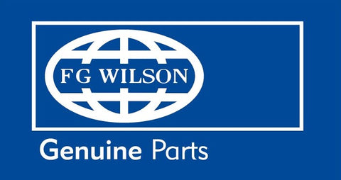FGW2019000089 -Polyester Flag Pole Flag